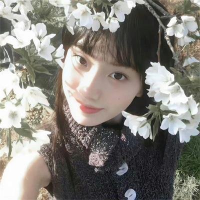 ST 红白的搜查档案